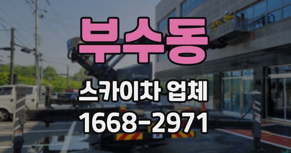 부수동 스카이차 업체