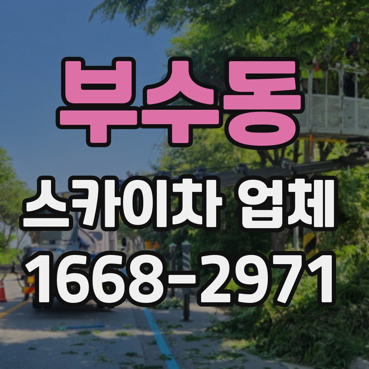 부수동 스카이차 업체
