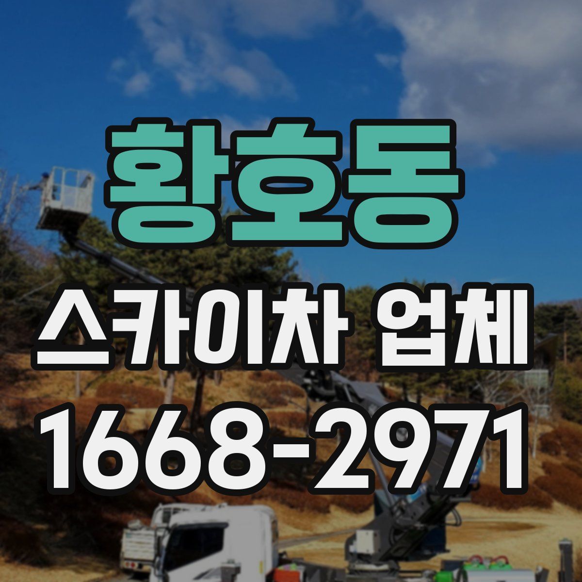 황호동 스카이차 업체