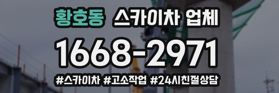 황호동 스카이차 업체