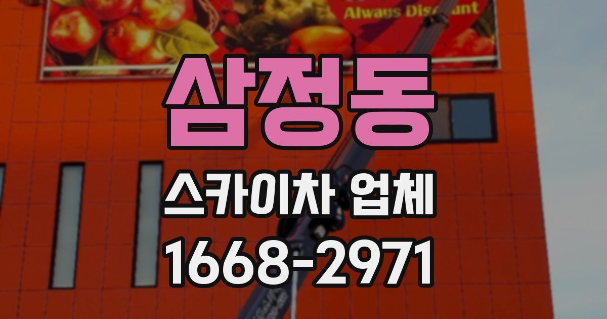삼정동 스카이차 업체