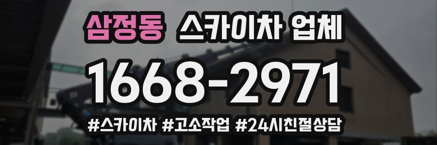 삼정동 스카이차 업체