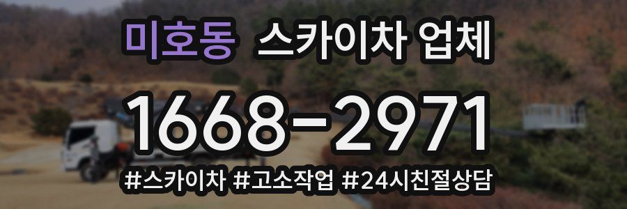 미호동 스카이차 업체