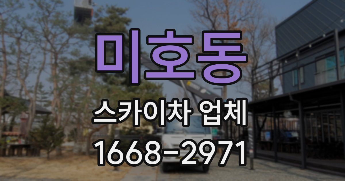 미호동 스카이차 업체