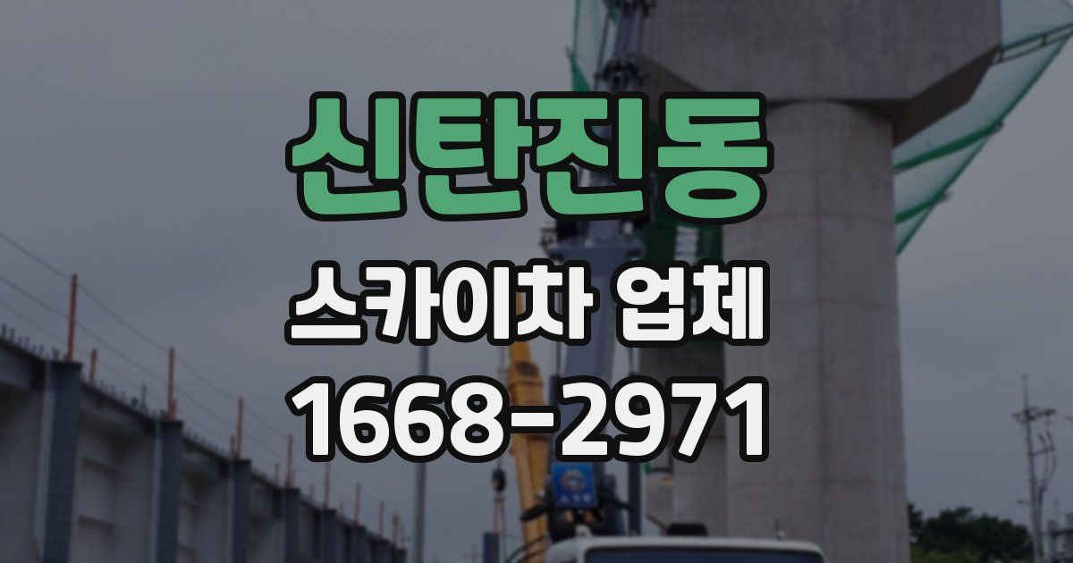 신탄진동 스카이차 업체