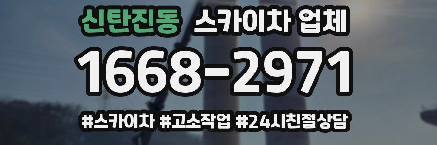 신탄진동 스카이차 업체