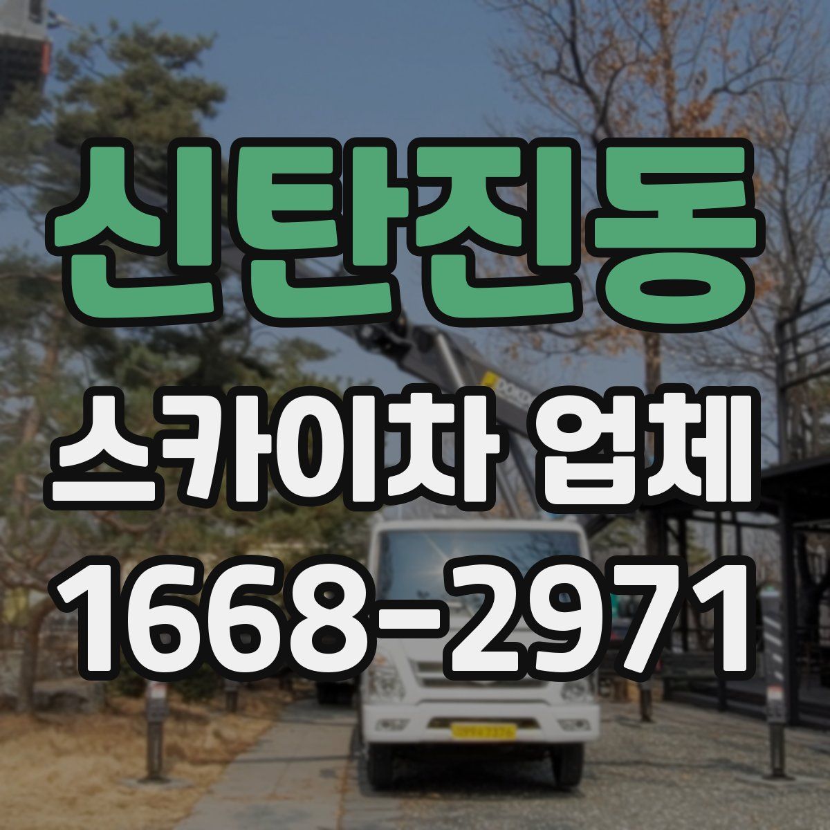 신탄진동 스카이차 업체