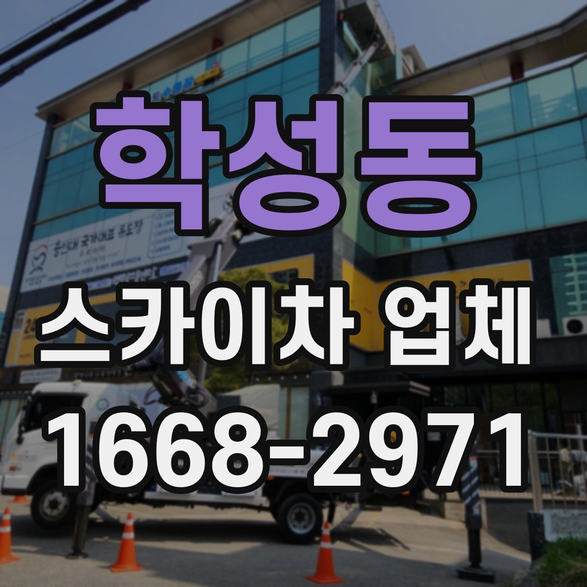 학성동 스카이차 업체