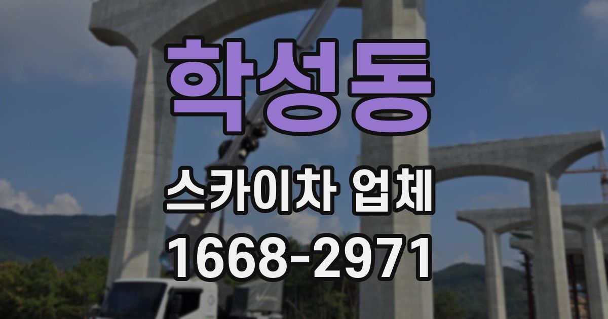 학성동 스카이차 업체