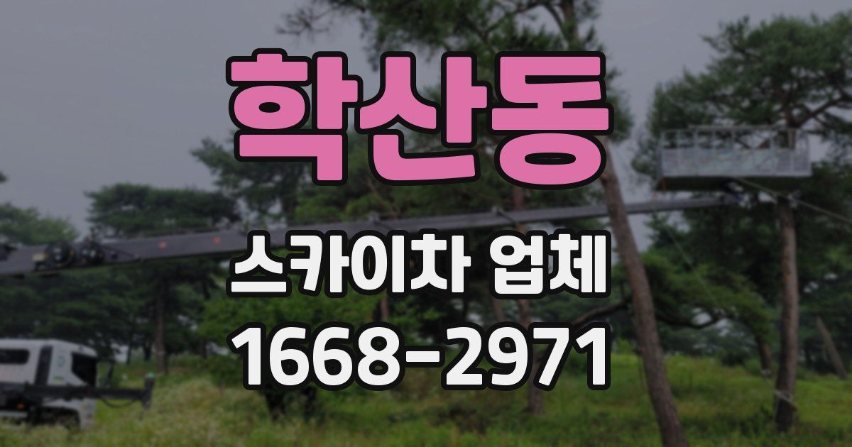 학산동 스카이차 업체