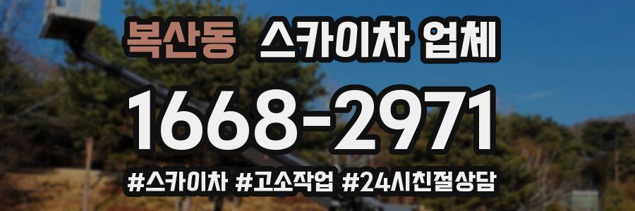 복산동 스카이차 업체