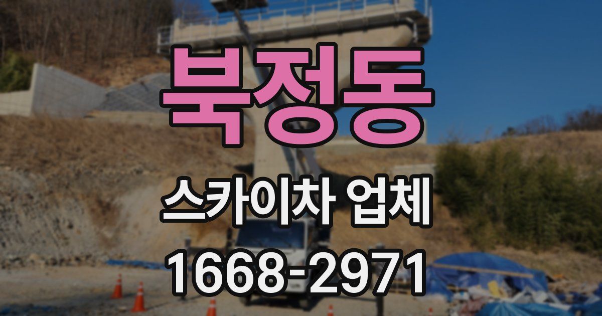 북정동 스카이차 업체