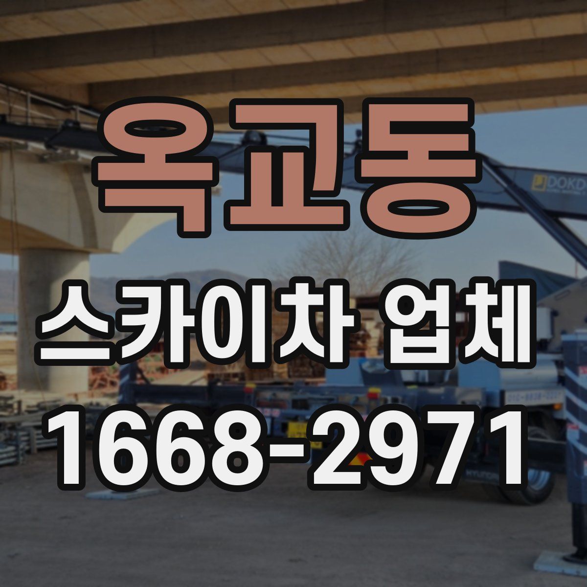 옥교동 스카이차 업체