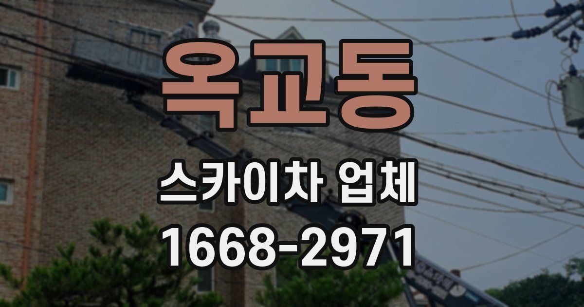 옥교동 스카이차 업체