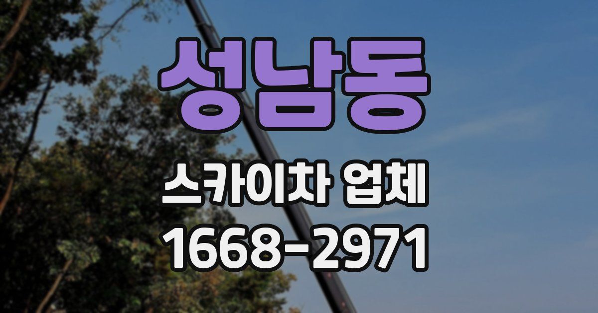 성남동 스카이차 업체