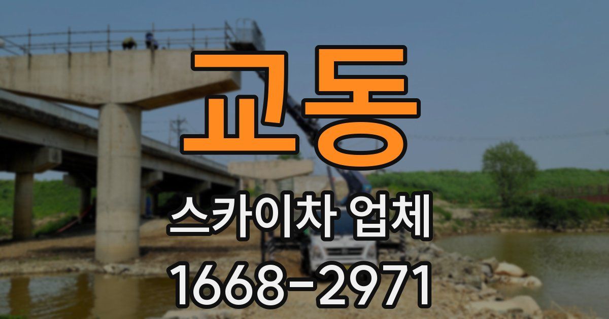 교동 스카이차 업체