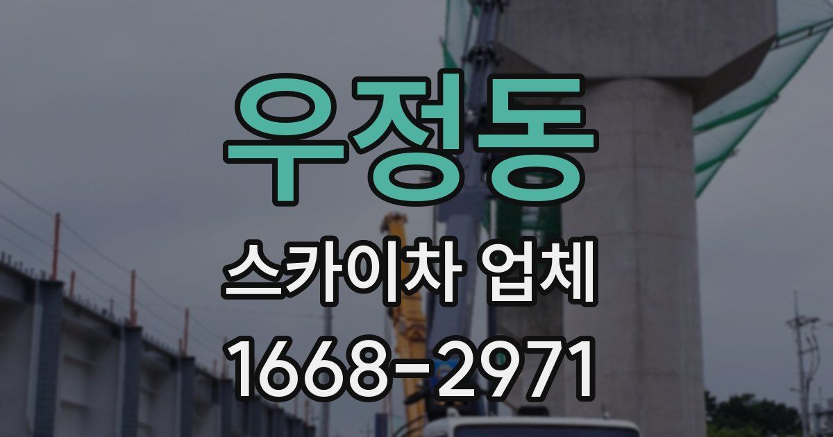 우정동 스카이차 업체