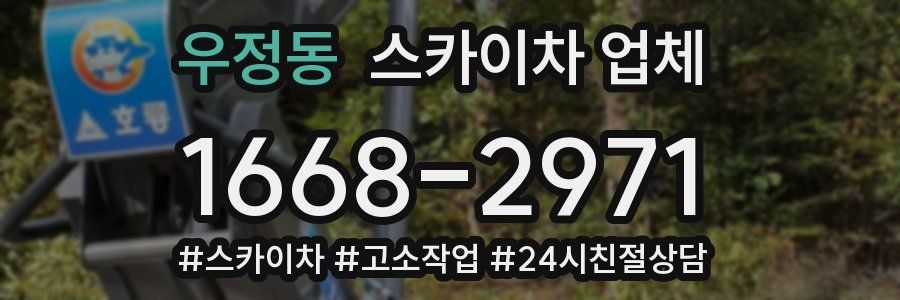 우정동 스카이차 업체