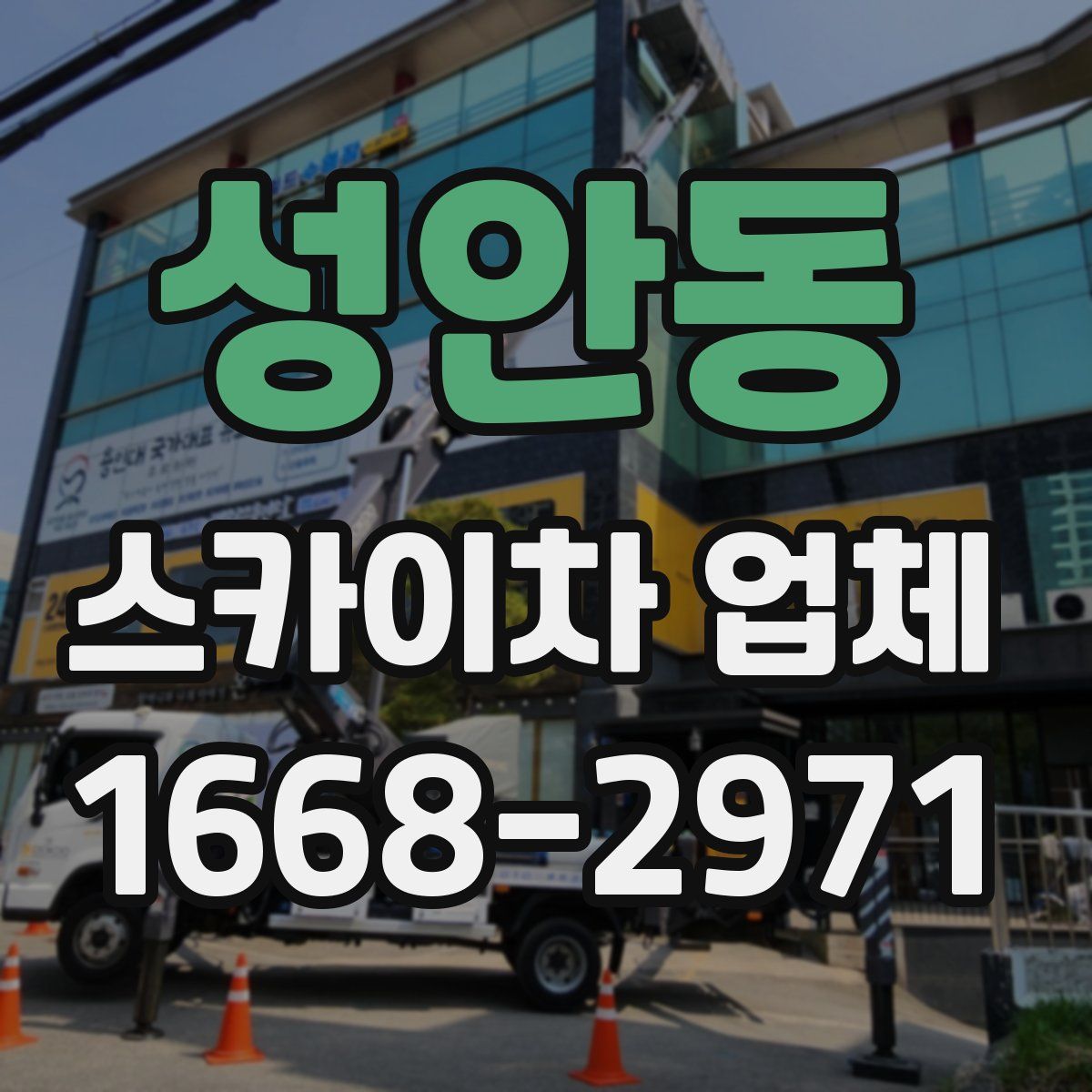 성안동 스카이차 업체