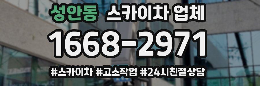 성안동 스카이차 업체