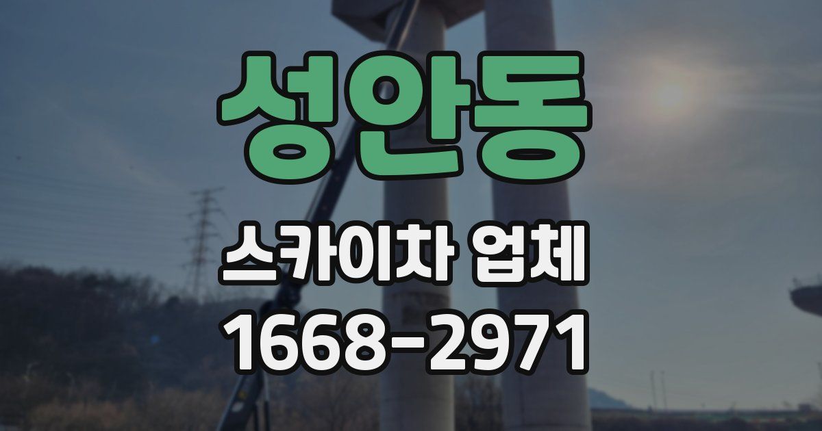 성안동 스카이차 업체