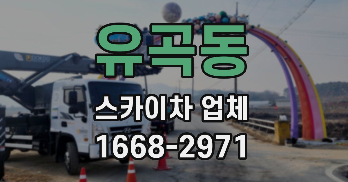 유곡동 스카이차 업체