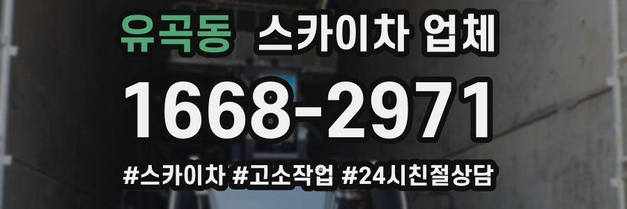 유곡동 스카이차 업체