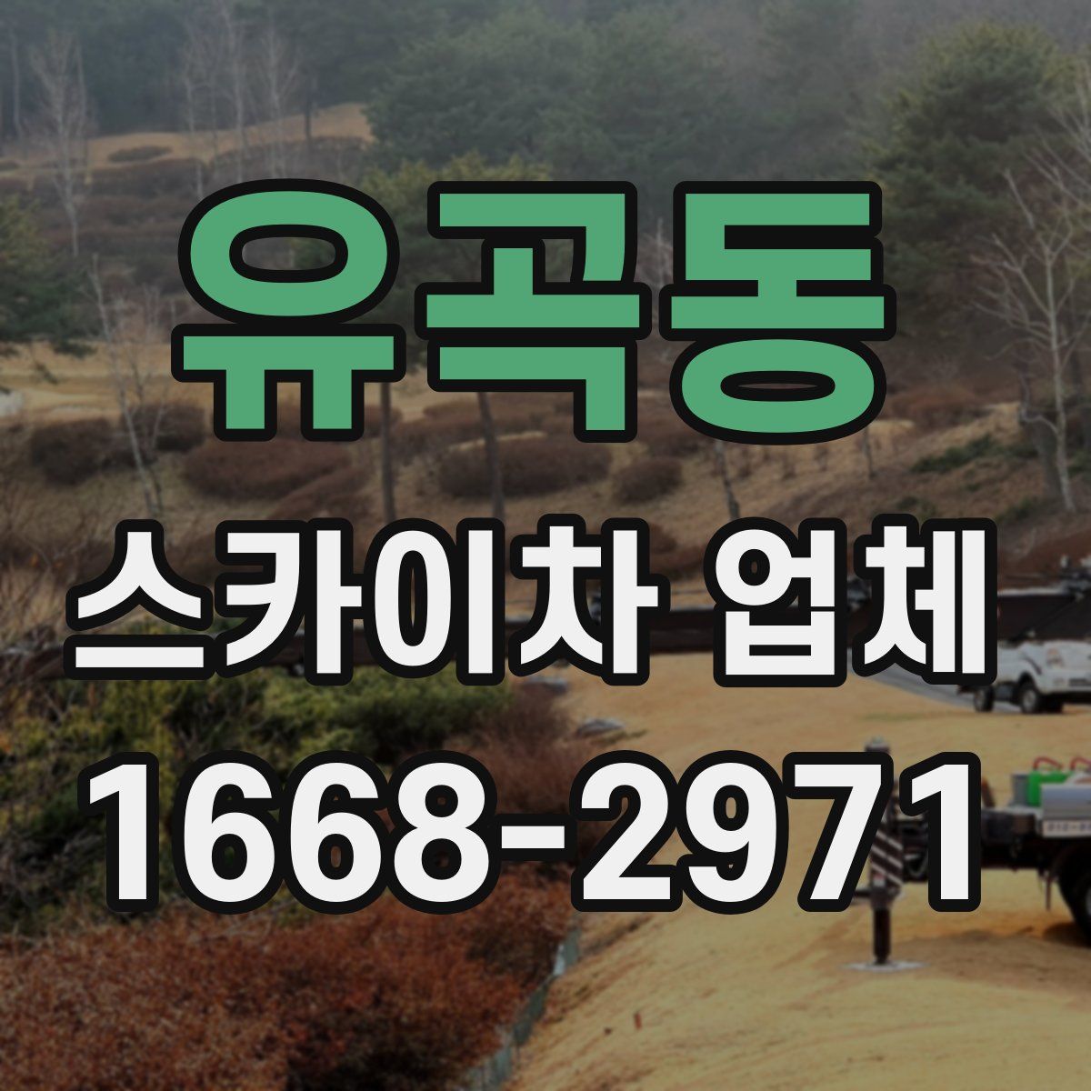 유곡동 스카이차 업체