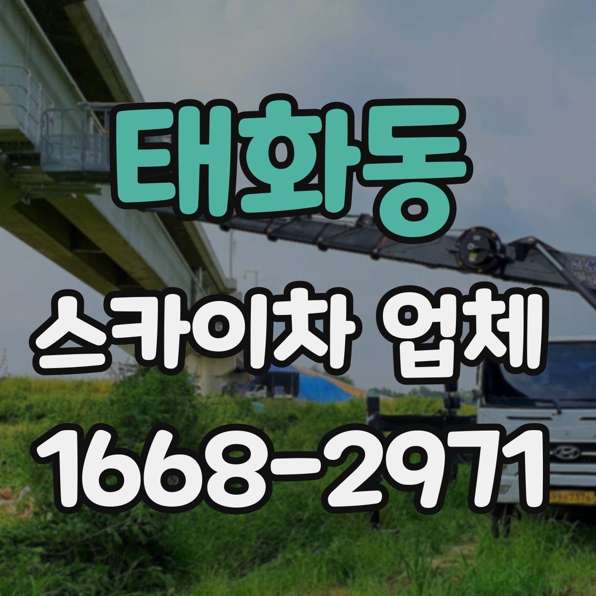 태화동 스카이차 업체