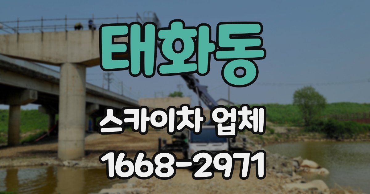 태화동 스카이차 업체