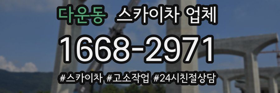 다운동 스카이차 업체