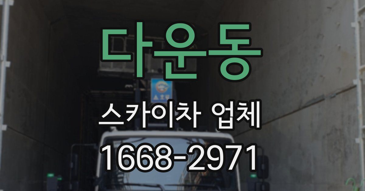 다운동 스카이차 업체