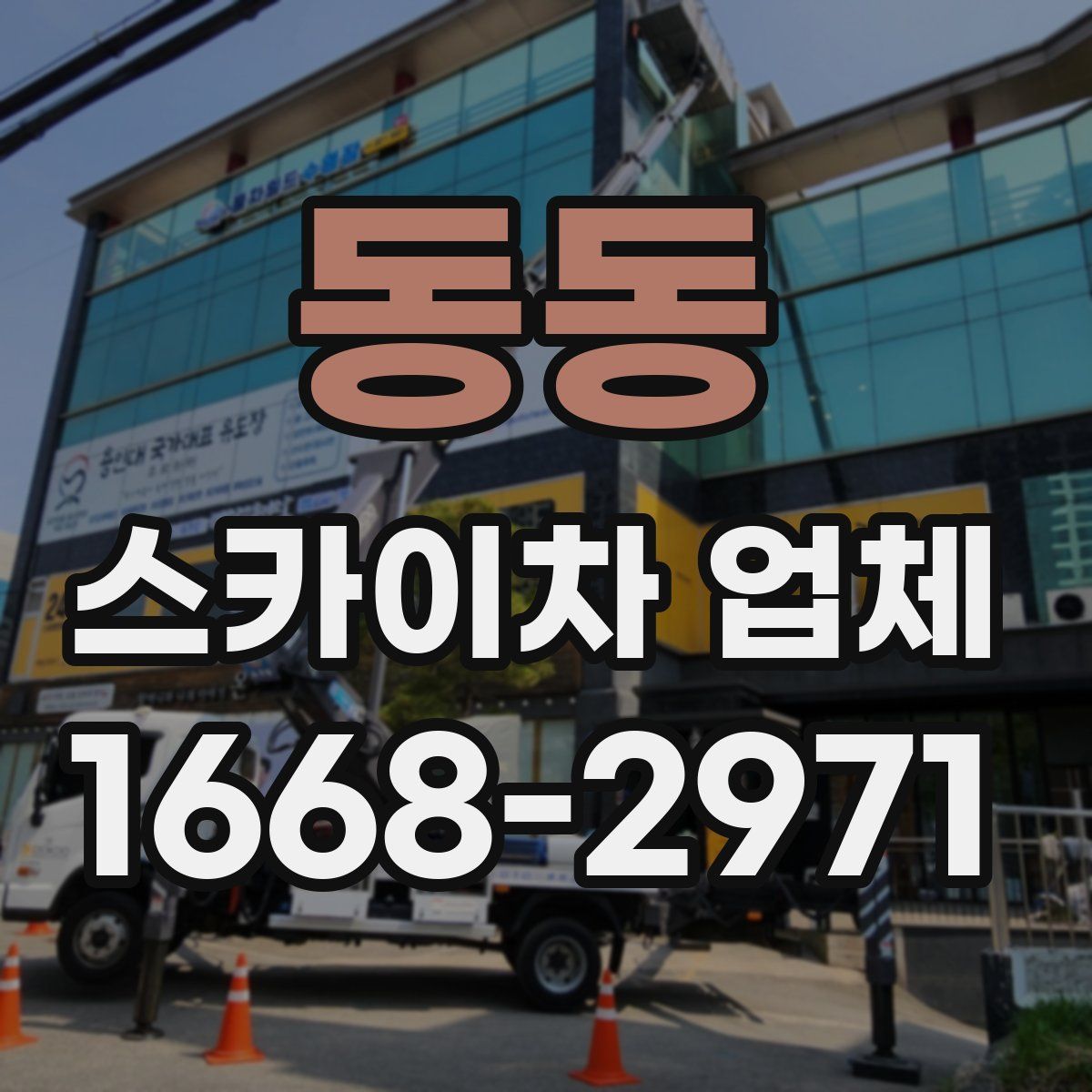 동동 스카이차 업체