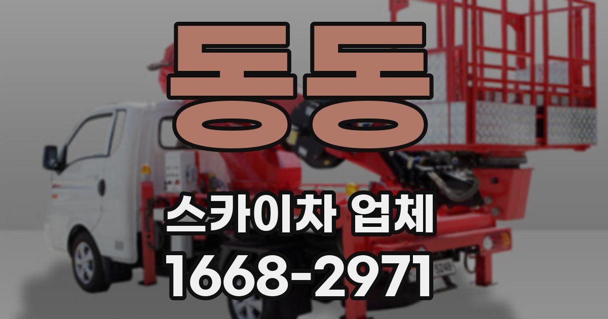 동동 스카이차 업체