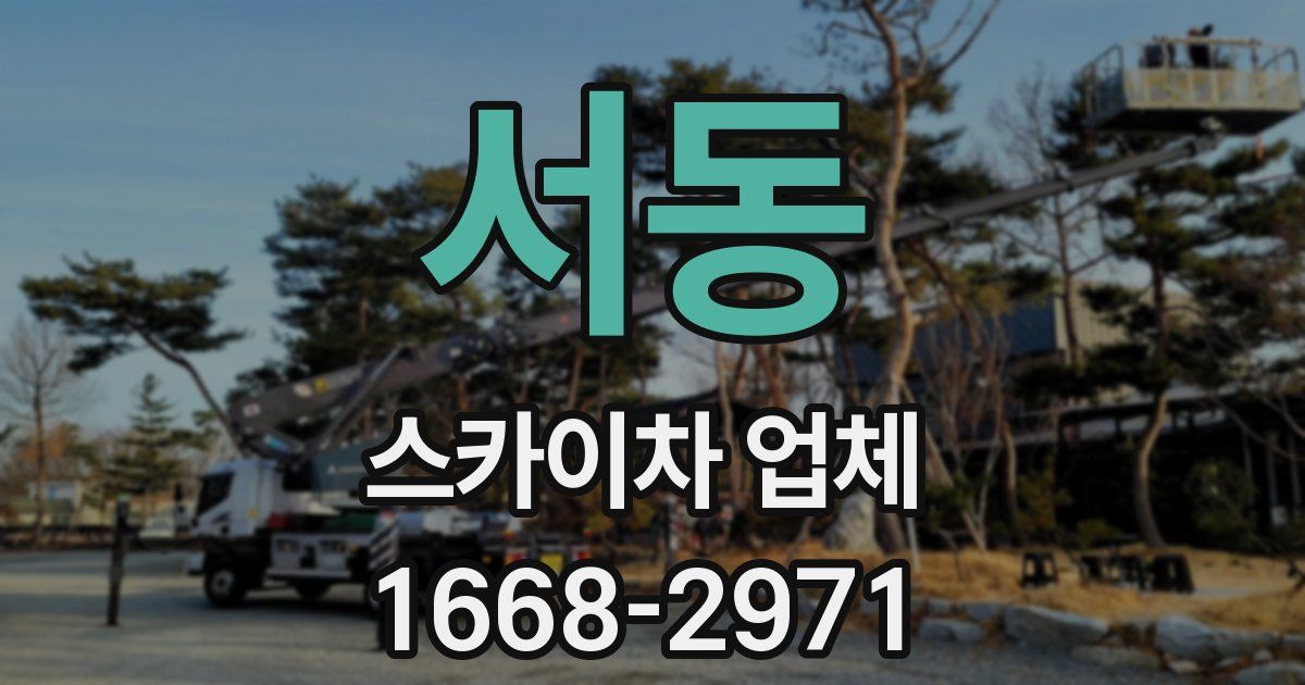 서동 스카이차 업체