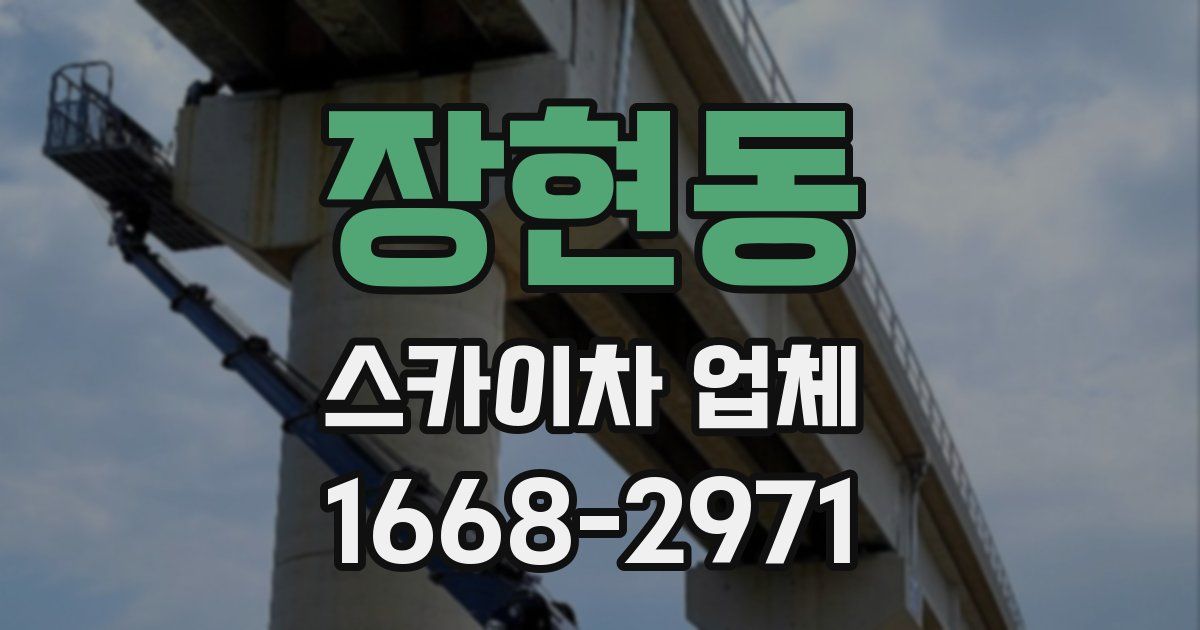 장현동 스카이차 업체