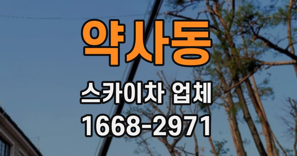 약사동 스카이차 업체