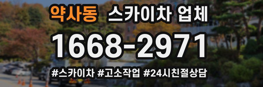 약사동 스카이차 업체