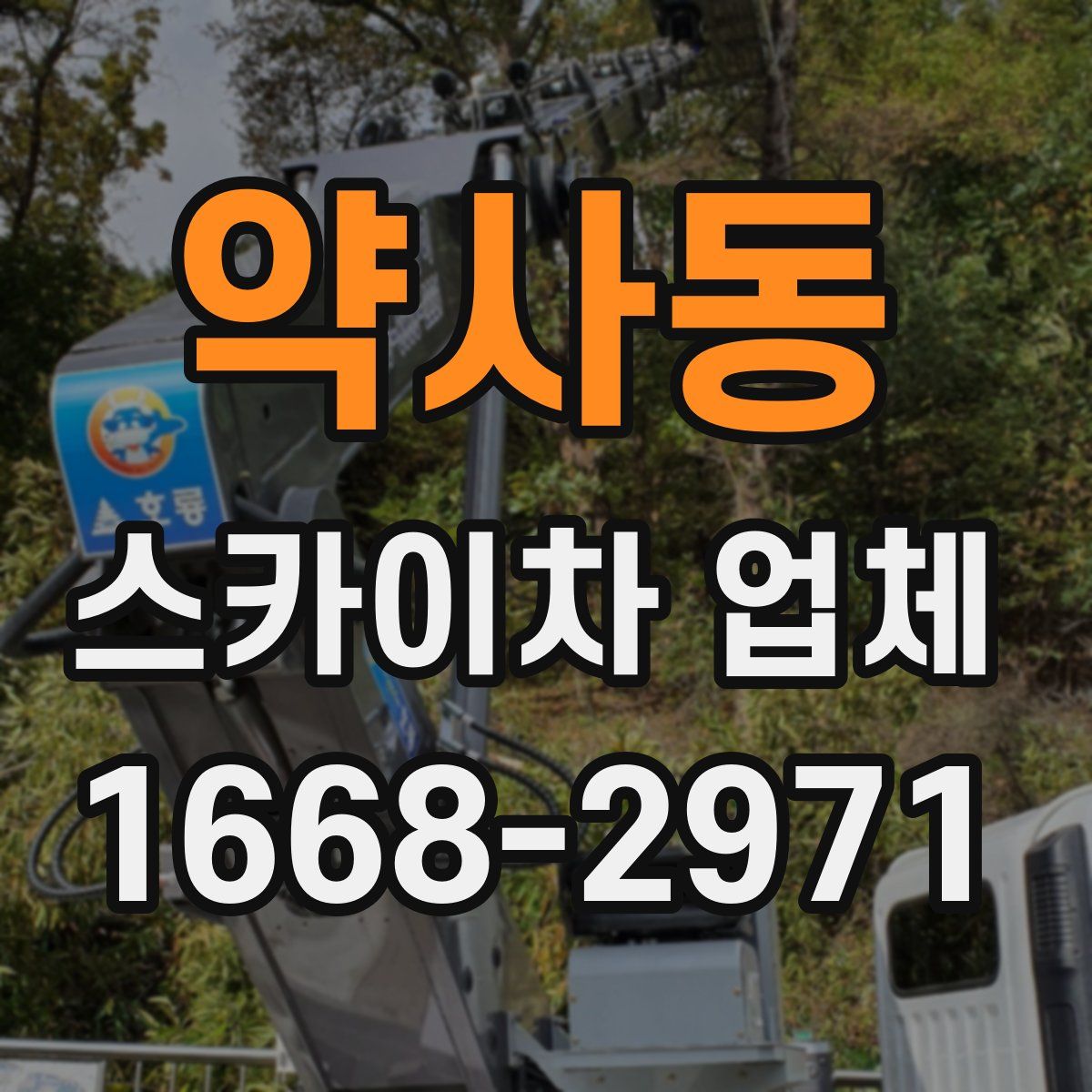 약사동 스카이차 업체