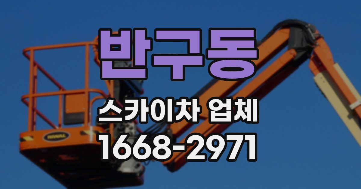 반구동 스카이차 업체
