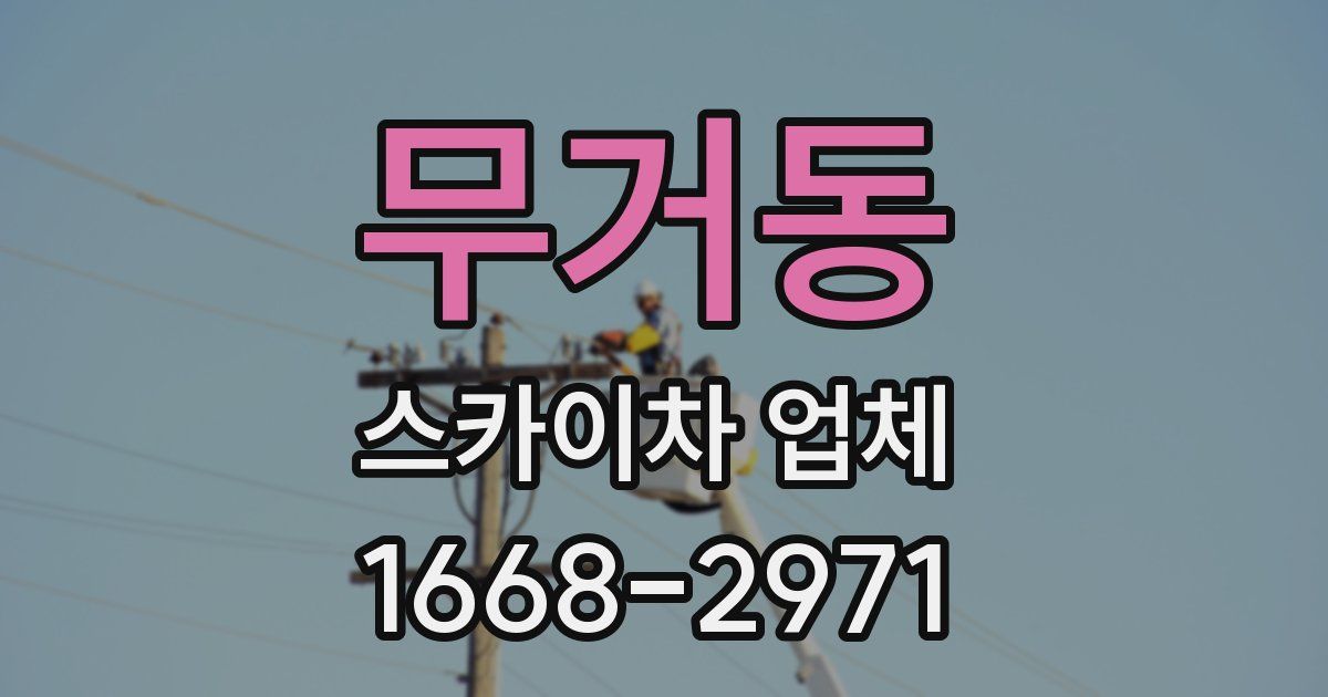 무거동 스카이차 업체