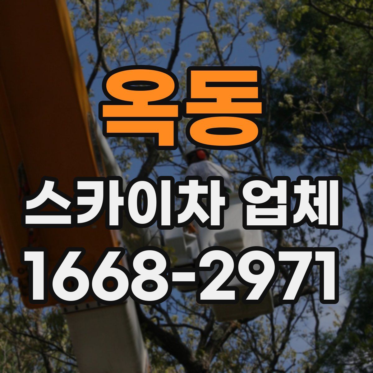 옥동 스카이차 업체
