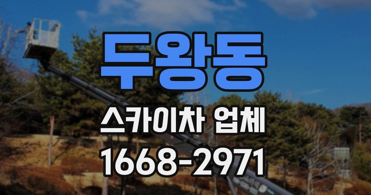 두왕동 스카이차 업체