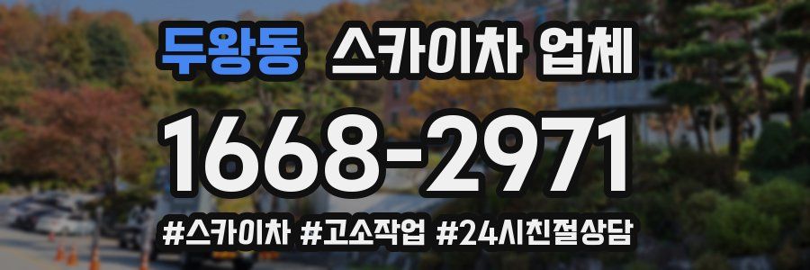 두왕동 스카이차 업체