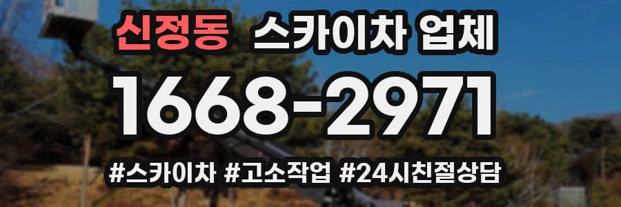 신정동 스카이차 업체