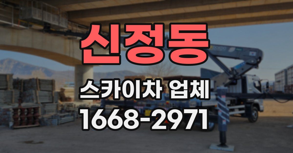 신정동 스카이차 업체