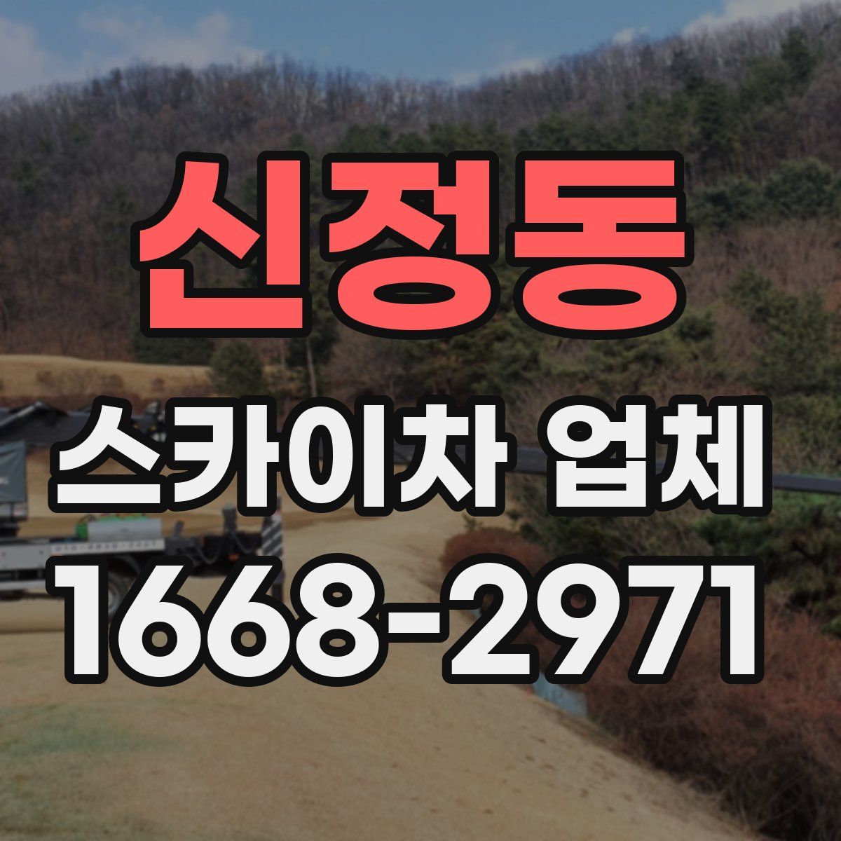 신정동 스카이차 업체