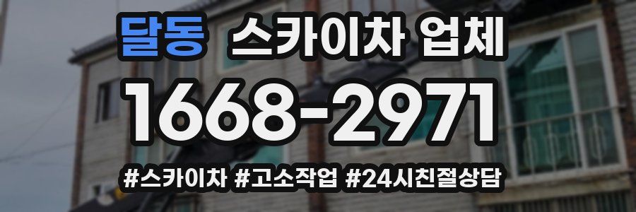 달동 스카이차 업체