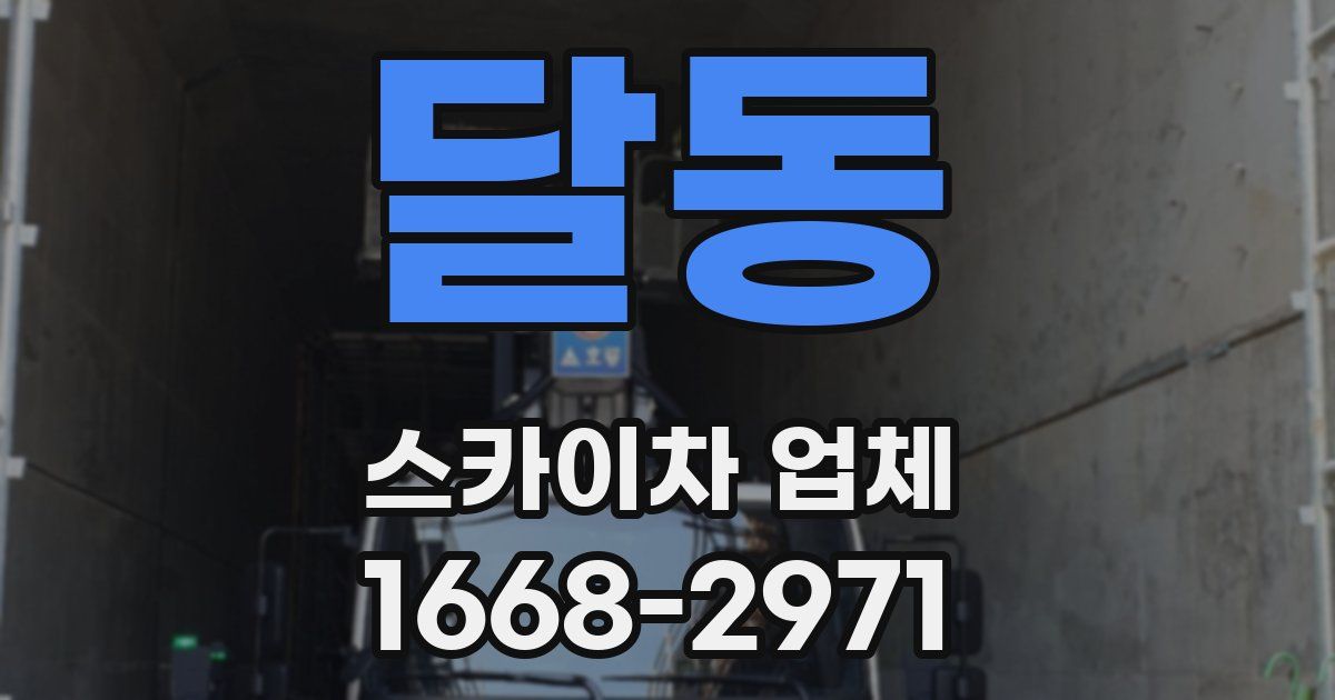 달동 스카이차 업체