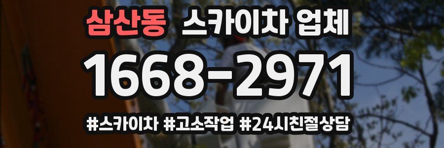 삼산동 스카이차 업체